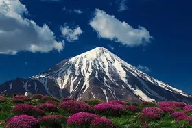 نگاهی به جدیدترین آثار شجریان، چاوشی و عقیلی که در روز&zwnj;های ناآرام موجب دلگرمی مردم شدند