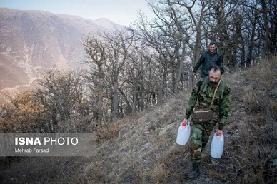 گزارش تصویری | عملیات مهار آتش‌سوزی مناطق کوهستانی روستاهای دلیر و الیت