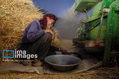 گزارش تصویری | فصل برداشت محصول عشایر بختیاری