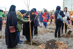 برگزاری پویش سراسری درختکاری در بوستان&zwnj;های بانوان شهر مشهد