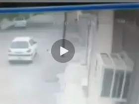 لحظه دزدیدن سگ خانگی در دزفول + فیلم
