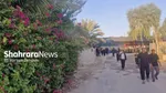 سلام آقای کربلا | روایتی از پیاده‌روی نجف تا کربلا در اربعین حسینی ۱۴۴۸