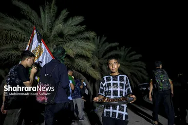 گزارش تصویری | پیاده روی شبانه زائران اربعین در طریق العلماء
