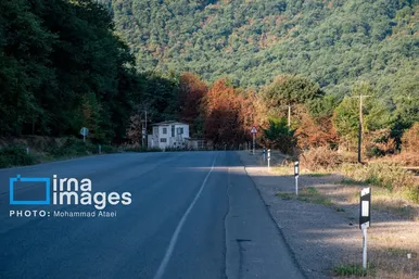 گزارش تصویری | خشکسالی در جنگل‌های هیرکانی گلستان