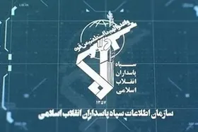 شبکه سودجوی نهاده&zwnj;های دامی در &zwnj;اردبیل منهدم شد