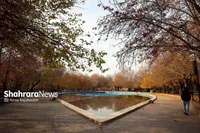 پیش‌بینی هواشناسی مشهد و خراسان رضوی (شنبه، ۲۶ آبان ۱۴۰۳) | افزایش تدریجی دما تا اواسط هفته