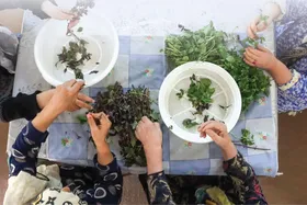 تنها خانه حمایتی سالمندان در مشهد، خانه&zwnj;ای برای عبور از روز&zwnj;های تنهایی