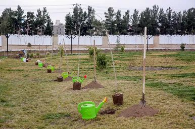 شهرتکانی