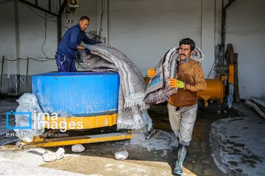 عکس‌هایی از یک کارگاه قالیشویی در آستانه نوروز