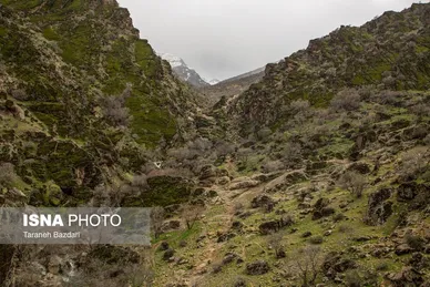 ایران زیباست | مخمل کوه در گستره زاگرس - لرستان