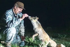 نمایش حیات وحش شمال شرق کشور در شبکه مستند سیما + تیزر و زمان پخش