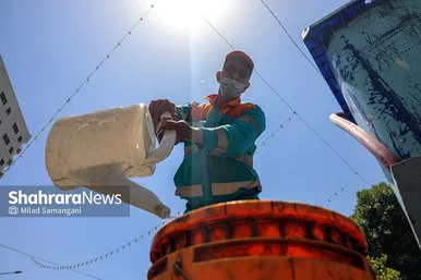 پاکبانان شهر