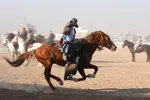 بازی‌های سنتی مردم افغانستان در روزهای نوروز + عکس