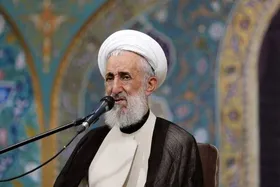 سخنگوی قوه قضائیه: حجت&zwnj;الاسلام صدیقی در پرونده فرزندش هیچگونه تقصیری ندارد
