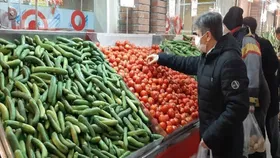 نرخ امروز میوه و صیفی&zwnj;جات در مشهد (۱۲ دی ۱۴۰۳) | خیار و گوجه&zwnj;فرنگی چند؟