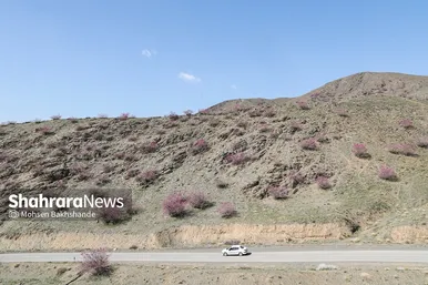 ایران زیباست | «ارغوان» پنجه‌ی خونین زمین