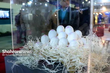 هفدهمین نمایشگاه بین‌المللی دام، طیور و آبزیان در مشهد