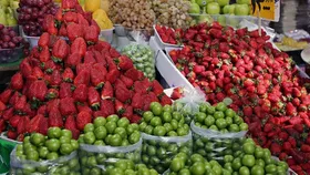قیمت میوه&zwnj;های نوبرانه ۲۰ روز دیگر متعادل می&zwnj;شود/قیمت زردآلو ۳۰ هزار تومان!