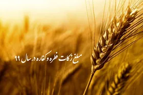 میزان و مبلغ زکات فطریه در سال ۹۹+جزئیات