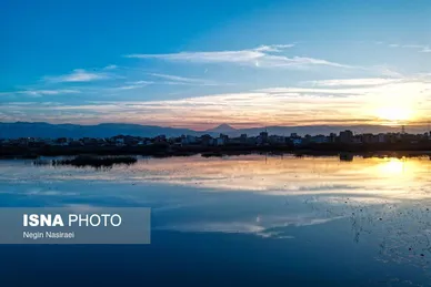 گزارش تصویری | وقتی تالاب‌ می‌میرد...