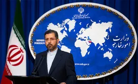 خطیب&zwnj; زاده: بازگشت مردم&zwnj;سالاری در بولیوی را به فال نیک می&zwnj;گیریم