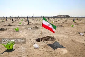 کاشت ۱۰۰۰ اصله درخت در بوستان کرامت مشهد به&zwnj;مناسبت روز درخت&zwnj;کاری ۱۴۰۴