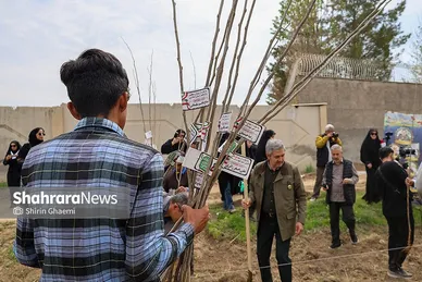 گزارش تصویری | طرح کاشت نهال به یاد دانش آموزان شهید مدرسه میناب