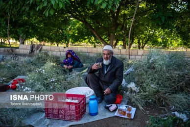 گزارش تصویری | نوغانداری، تولید ثروت از کرم ابریشم