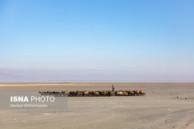 گزارش تصویری | بازگشت خشکی به دریاچه ارومیه