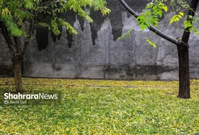 پیش&zwnj;بینی هواشناسی خراسان رضوی برای روز&zwnj;های ۱۶ تا ۱۹ آذر ۱۴۰۳