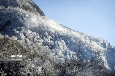 گلستان در زمستان