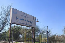 آتش&zwnj;سوزی گسترده در پارک ملی دز خوزستان + فیلم