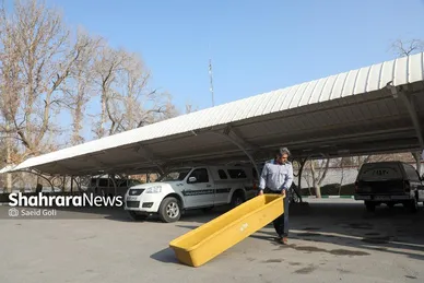 راندن در مسیر سوگ‌های ناتمام