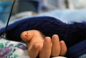 مادر سنگدل، دو کودکش را خفه کرد