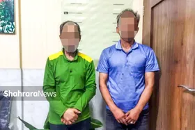 روایتی از رویارویی مجدد دزد و کارآگاه