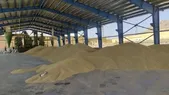 آمادگی ورود به فصل خرید تضمینی گندم در خراسان رضوی