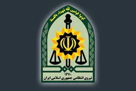 آیا سامانه پلیس برای ارسال تصاویر هنجار شکنانه فعال شده است؟