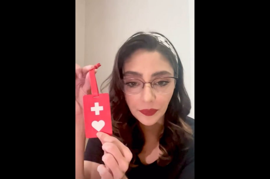 کارتی که هستی مهدوی فر در ویدئوی جنجالی خطاب به سفیر ژاپن نشان داد، چیست و چه کاربردی دارد؟