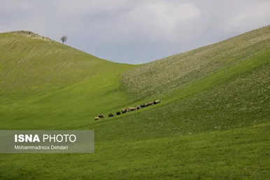 ایران زیباست | زمستان بَهاری در فارس