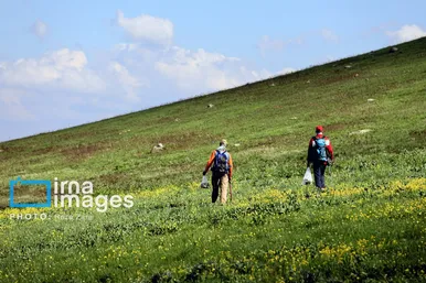 ایران زیباست | طبیعت بهاری دامنه کوه سبلان