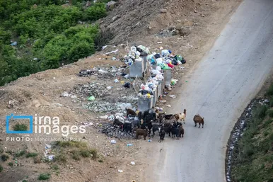 گزارش تصویری | مرگ خاموش جنگل‌های مازندران زیر آوار زباله‌های ناخوانده