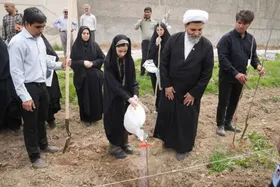 غرس ۲۳۴ نهال در موقوفه گوهرشاد، یادبود شهدای میناب در پویش ملی &laquo;سرو ایران&raquo;
