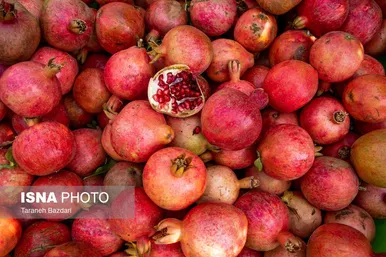 ایران زیباست | برداشت انار در لرستان