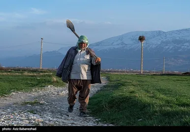 ایران زیباست | همزیستی لک لک‌ها در روستای کپر جودکی بروجرد با مردم روستا