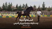 ویدئو| اسب‌ها و آدم‌ها | چند دقیقه درباره یک ورزش قدیمی