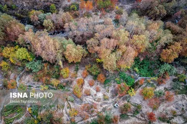 ایران زیباست | پاییزِ هزاررنگ در روستای شیت - طارم