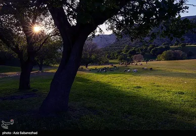 ایران زیباست | طبیعت بهاری منطقه دره اناران سپیدشت خرم آباد