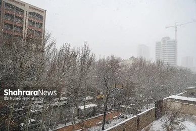 گزارش تصویری | بارش برف در مشهد (۲۱ بهمن ۱۴۰۳)