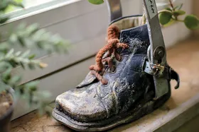 درباره مراکز آموزش استثنایی و خانواده&zwnj;هایی که به اثربخشی این مدارس آگاهی ندارند