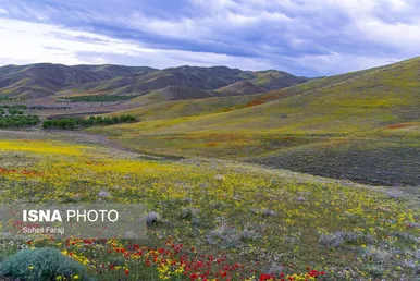 ایران زیباست | طبیعت هزار رنگ جلگه ارومیه